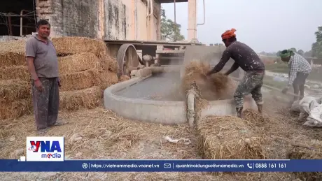 Tái chế phụ phẩm nông nghiệp giảm ô nhiễm