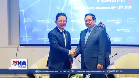 Trạm tin chiều ngày 26/11/2025