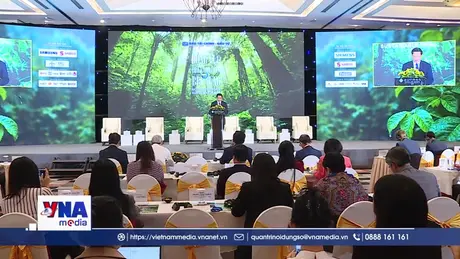 Chính sách mới mở đường giúp doanh nghiệp tăng tốc chuyển dịch xanh