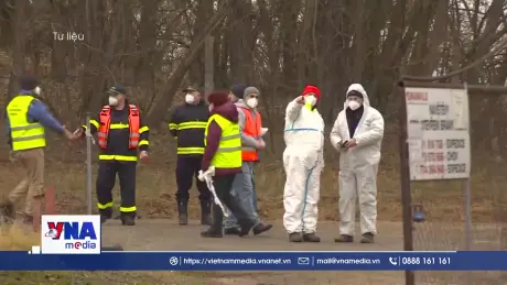 Dịch cúm bắt đầu lan rộng tại Pháp