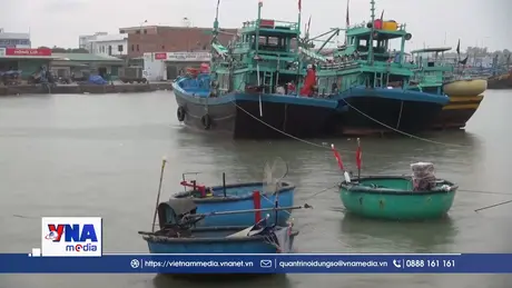 Lâm Đồng: khu vực ven biển chủ động ứng phó bão số 15