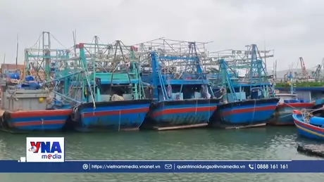 Gia Lai kêu gọi tàu thuyền về tránh trú bão số 15