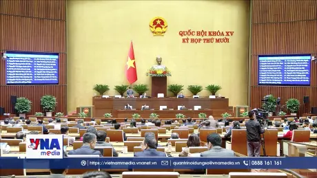 Trạm tin trưa ngày 28/11/2025