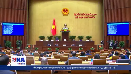 Trạm tin tối ngày 28/11/2025