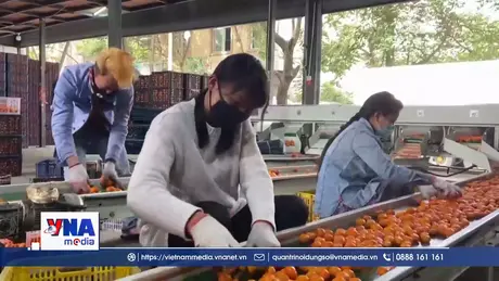 Kế hoạch hành động phát triển lĩnh vực tiêu dùng của Trung Quốc