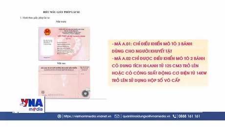 Đề xuất cấp giấy phép lái xe điện tử