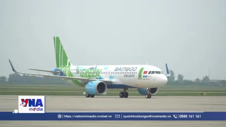 Các chuyến bay tại Việt Nam không bị gián đoạn do lỗi Airbus