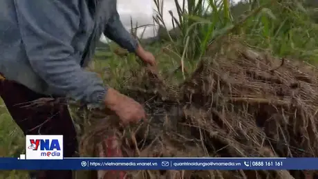 Người dân Lâm Đồng thiệt hại kép do mưa lũ