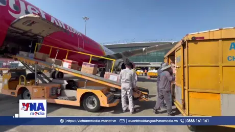 Cảng hàng không quốc tế Cát Bi hỗ trợ người dân vùng lũ