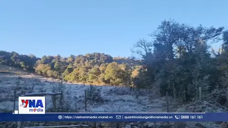 Băng giá tiếp tục phủ trắng núi đồi Y Tý