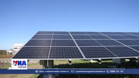 Chuyển đổi năng lượng xanh - Kinh nghiệm từ Nhật Bản