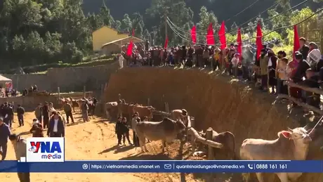 Rộn ràng lễ hội bò đẹp ở xã biên giới Phố Bảng (Tuyên Quang)