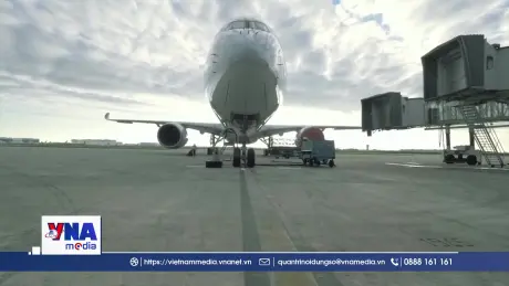 Hàng không thế giới bị ảnh hưởng do lỗi phần mềm của Airbus