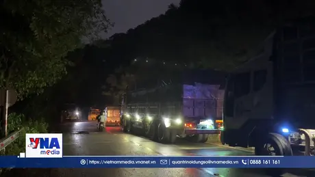 Lâm Đồng thông tuyến đường đèo Mimosa - Đà Lạt