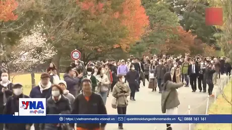 Hoàng cung Nhật Bản mở cửa đón khách ngắm lá mùa thu