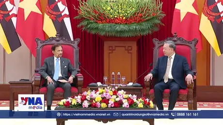 Trạm tin tối ngày 30/11/2025