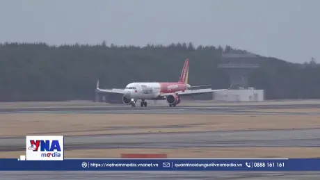 Hàng không Việt đưa máy bay hoạt động trở lại sau sự cố lỗi phần mềm