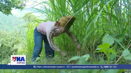 Bản khó khăn ở Sơn La đổi thay mạnh mẽ nhờ Chương trình 1719