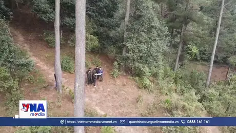 Giữ rừng bằng hương ước ở vùng cao Púng Luông