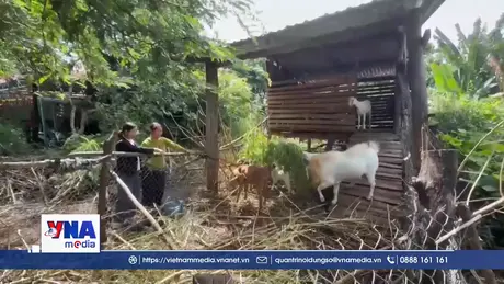 Đắk Lắk hỗ trợ sinh kế giúp đồng bào thoát nghèo