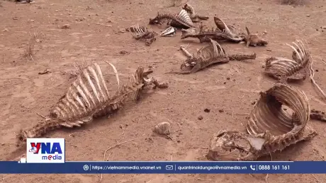 Cứu lấy đất - Cứu lấy hành tinh