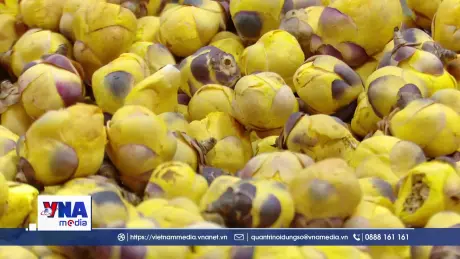 Ninh Bình: Nông nghiệp sinh thái, hữu cơ gắn với du lịch