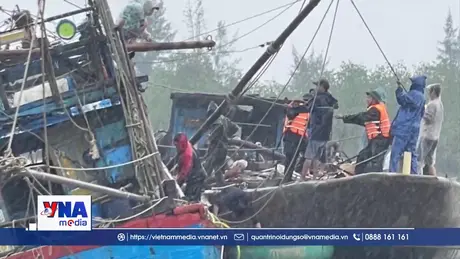 Quảng Trị kịp thời cứu hộ tàu cá bị chìm tại khu vực neo đậu