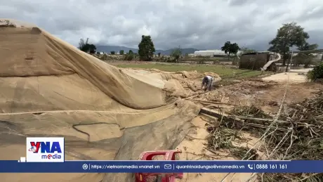 Khẩn trương khôi phục sản xuất rau màu ổn định thị trường