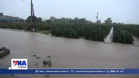 Lâm Đồng: Hơn 6.000 căn nhà bị ngập do mưa lũ