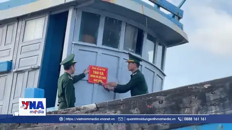 Quảng Ngãi quyết liệt các giải pháp chống khai thác IUU