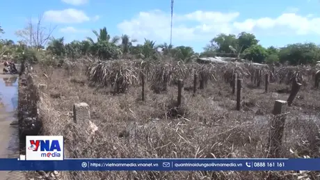 Người dân vùng lũ Lâm Đồng dọn dẹp nhà cửa, ổn định cuộc sống