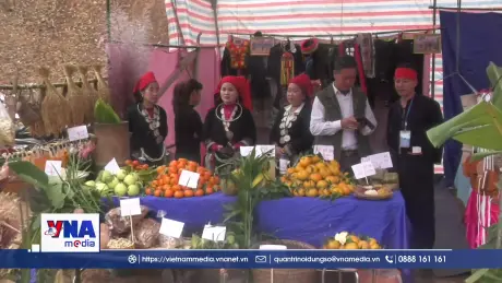 Thái Nguyên: Tưng bừng Ngày hội cam, quýt xã Bạch Thông năm 2025