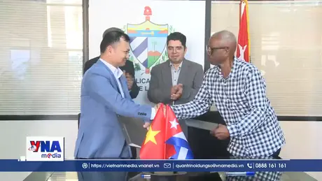 Doanh nghiệp Việt Nam đầu tư trồng điều ở Cuba