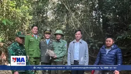 Quảng Trị: Thả cá thể rùa quý hiếm về môi trường tự nhiên