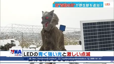 Robot chống gấu hoang gây sốt tại Nhật Bản