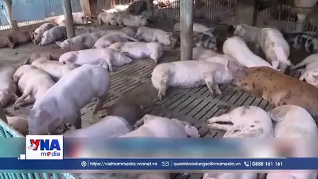 Philippines tạm dừng nhập khẩu thịt lợn từ Tây Ban Nha