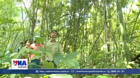 Thanh Hóa chi trả dịch vụ carbon EPRA góp phần bảo vệ rừng