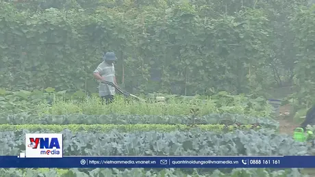 Hà Nội lan tỏa giá trị sản phẩm OCOP