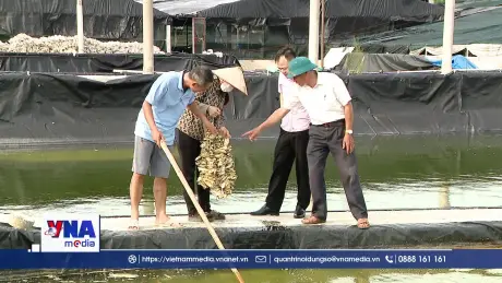 Tín dụng chính sách 