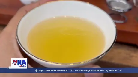 Huế: Tôn vinh văn hóa trà Việt