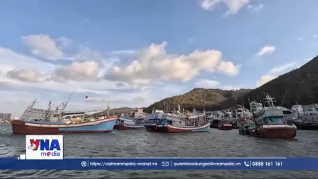 TP. Hồ Chí Minh quyết liệt 