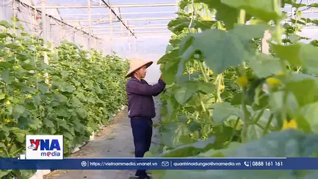 Nông dân đổi đời nhờ liên kết sản xuất