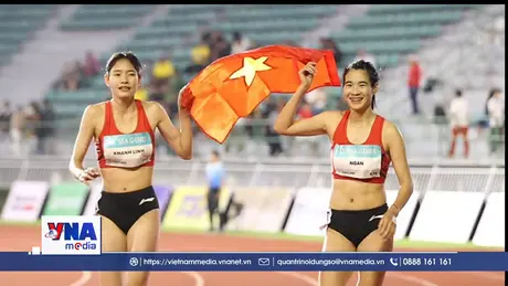 Đội tuyển điền kinh, bơi, thể dục dụng cụ mang về cơn mưa vàng ngày 11/12