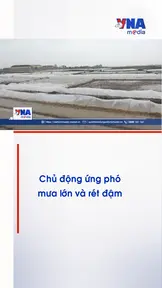 Chủ động ứng phó mưa lớn và rét đậm