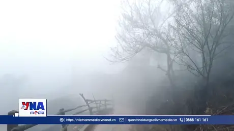 Trạm tin chiều ngày 13/12/2025