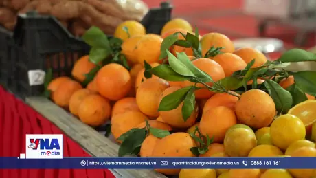 Hội chợ Thương mại cư dân biên giới Cao Bằng - Bách Sắc