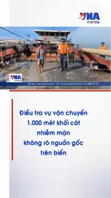 Điều tra vụ vận chuyển 1.000 mét khối cát nhiễm mặn không rõ nguồn gốc