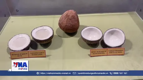 Bảo tàng Dừa sáp Trà Vinh là điểm du lịch tiêu biểu