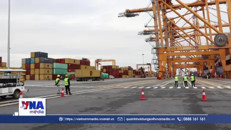 TEU thứ 2 triệu thông qua Cảng Hải Phòng trong năm 2025