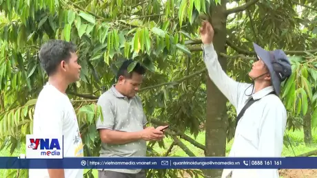 Ứng dụng công nghệ, sinh kế bền vững vùng dân tộc thiểu số